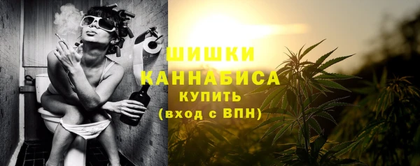 амф Богданович