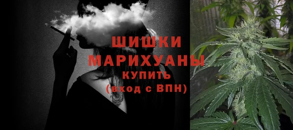 a pvp Бородино