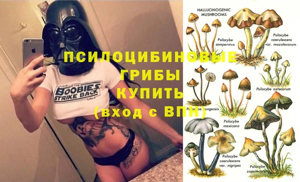 a pvp Бородино