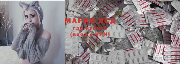 ПСИЛОЦИБИНОВЫЕ ГРИБЫ Богородицк