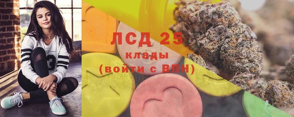 амф Богданович